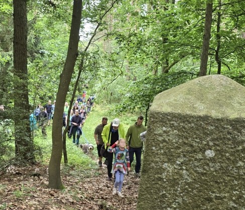 Waldspaziergang