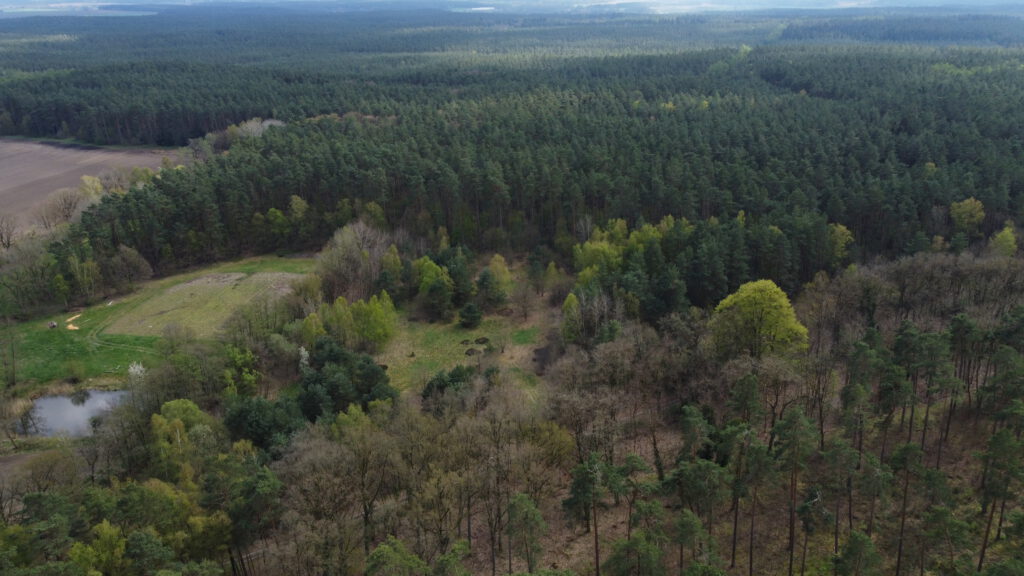 Breetzer Wald – Thomaburger Str.