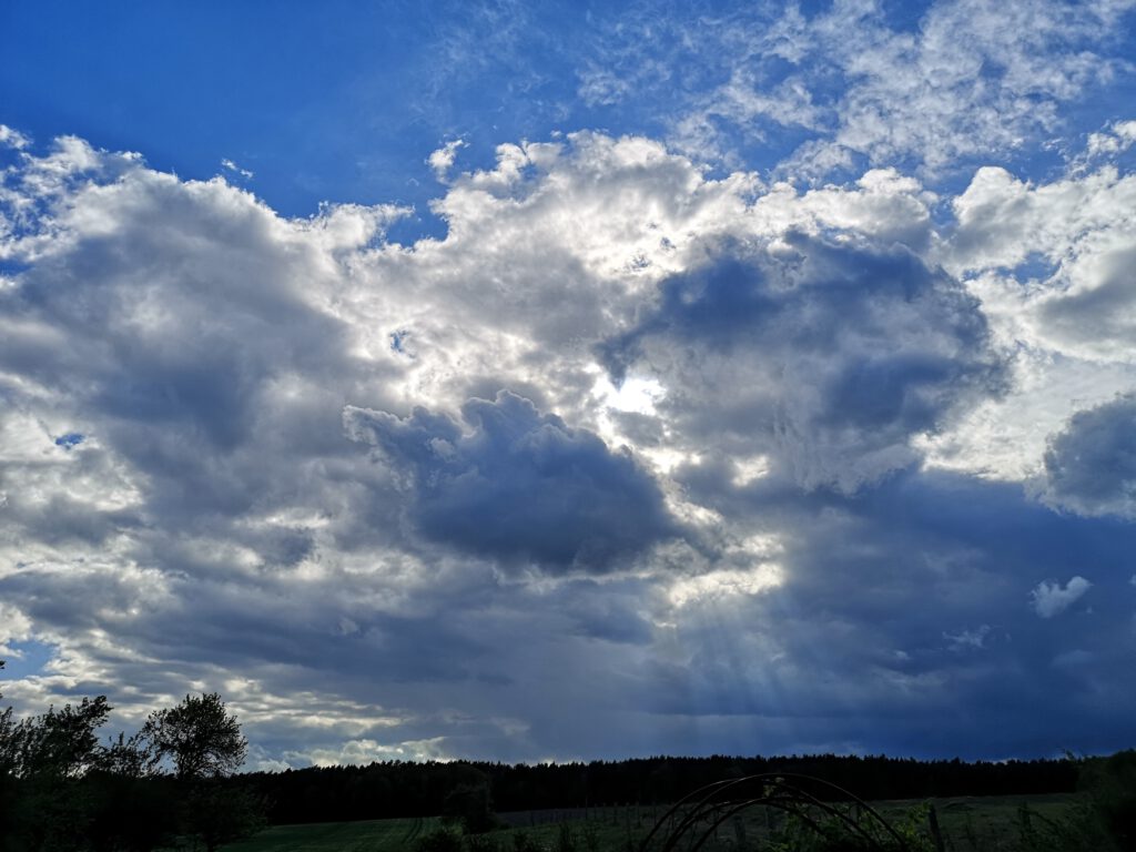 ga_IMG_20200501_172939