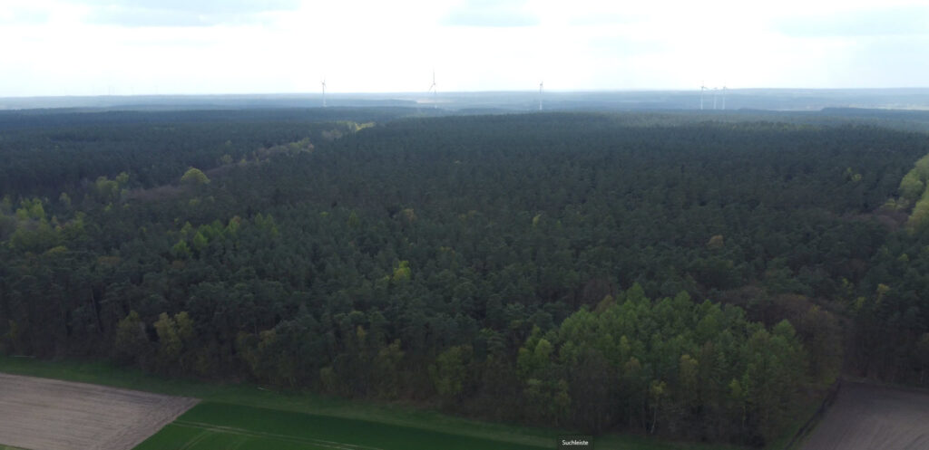 Blickrichtung Thomasburg