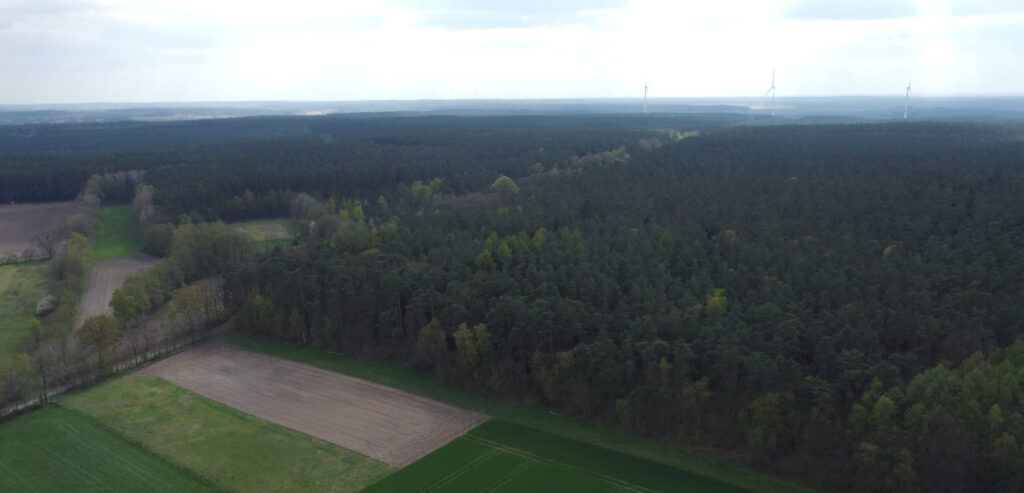 Blickrichtung Thomasburg