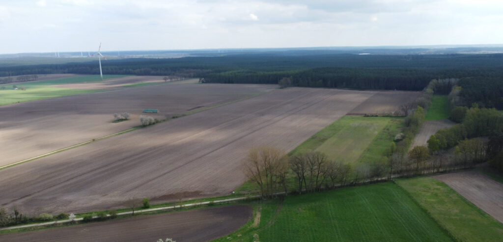 Blickrichtung Ellringen